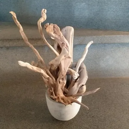 Casa Di Vecchio Borgo Sarzana