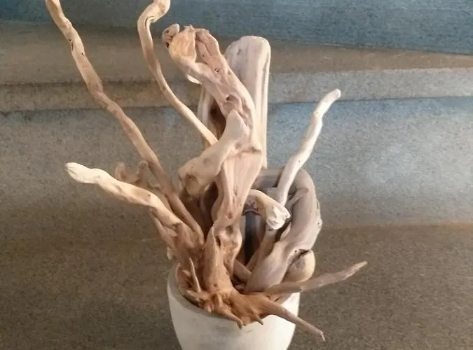 Casa Di Vecchio Borgo Sarzana